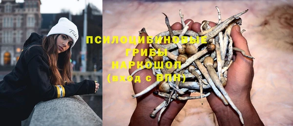 тгк Абдулино