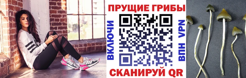 Галлюциногенные грибы GOLDEN TEACHER  blacksprut онион  Добрянка 